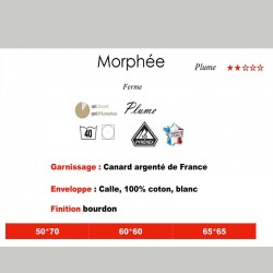 Oreiller Plume MORPHEE **