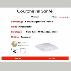 Oreiller Plume COURCHEVEL ****